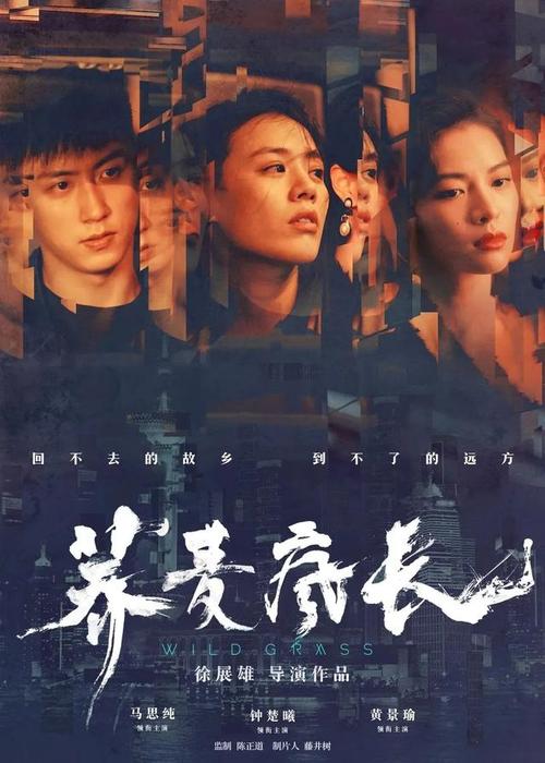罗维拉-威尔吉利大学student card